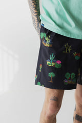 Costa Short