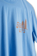 In A Pine